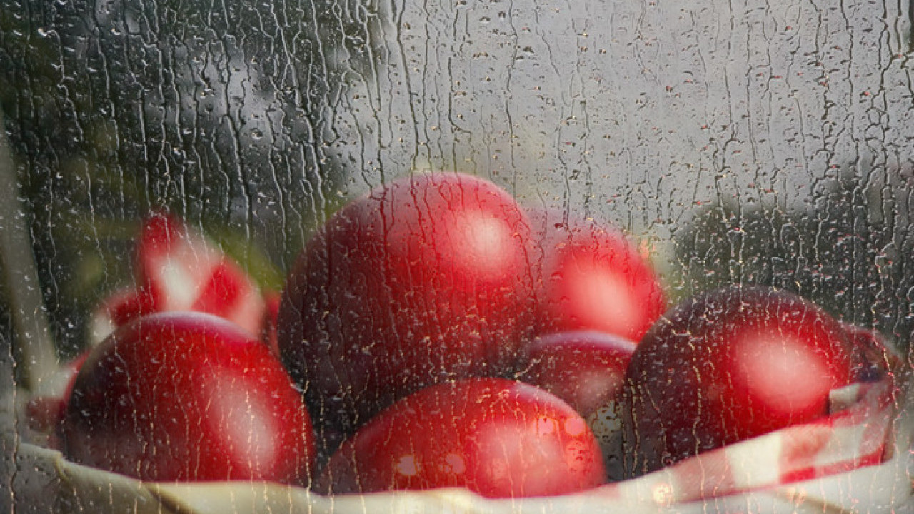LOŠ ZNAK! Šta znači ako padne KIŠA na Veliki petak?