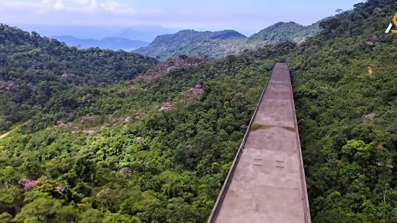 NAPUŠTENI MOST "JEDE" ŠUMA: Država se klela u projekat