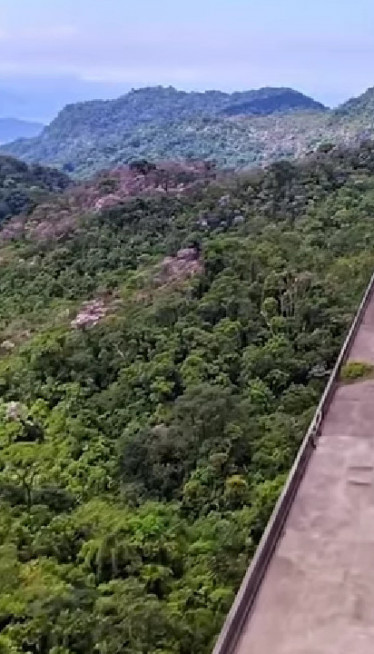 НАПУШТЕНИ МОСТ "ЈЕДЕ" ШУМА: Држава се клела у пројекат