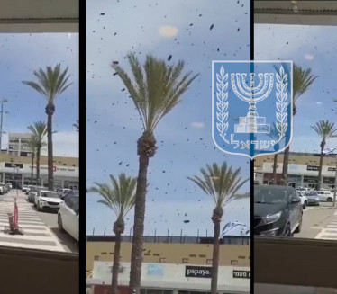 Šta se to dešava u Izraelu? Hiljade pčela kod tržnog centra