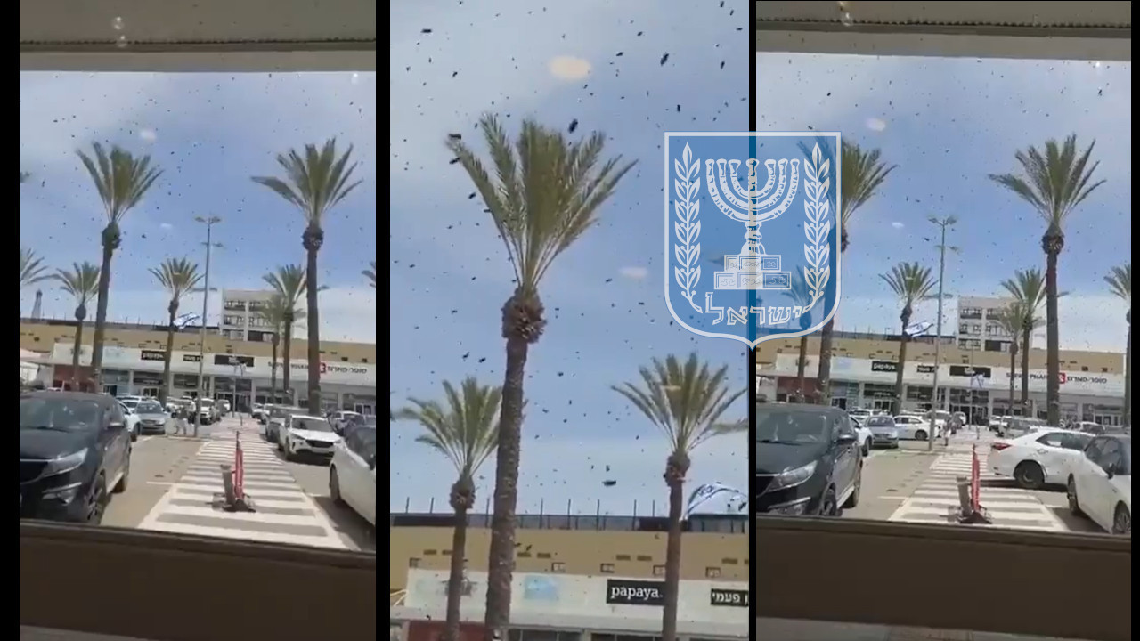 Šta se to dešava u Izraelu? Hiljade pčela kod tržnog centra