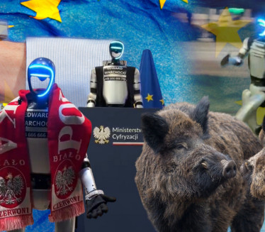 Bizarno: U EU robot juri veprove, govori pred skupštinom