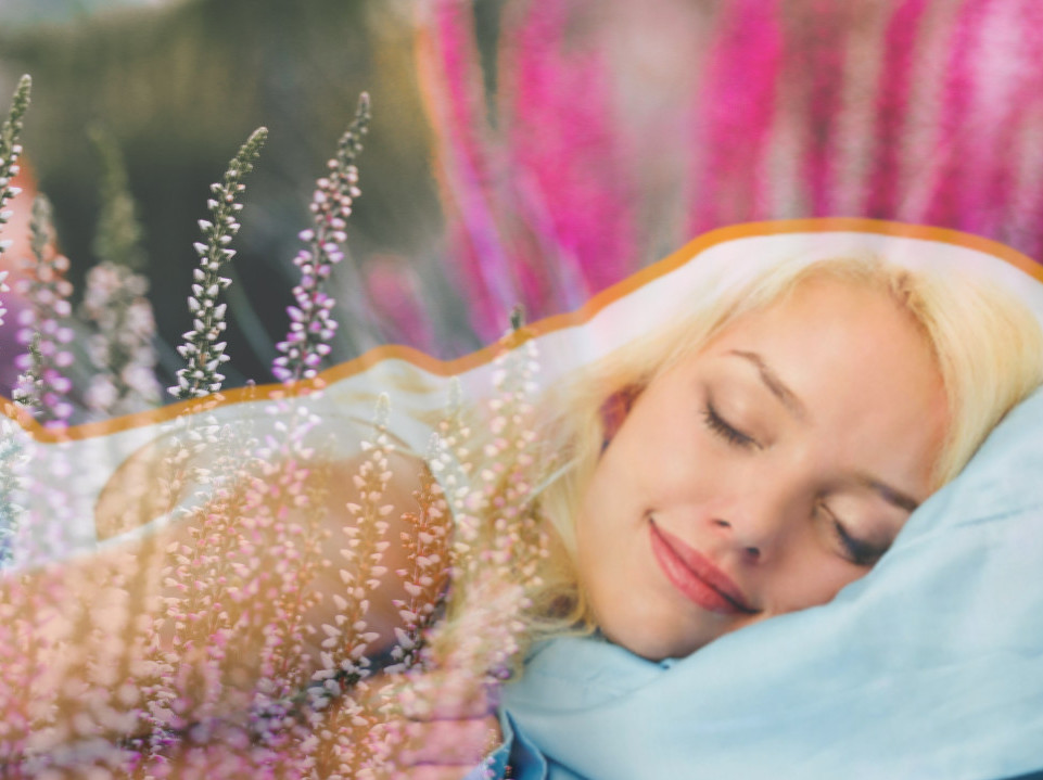 Poboljšavaju kvalitet sna Ove 3 biljke je poželjno imati u sobi