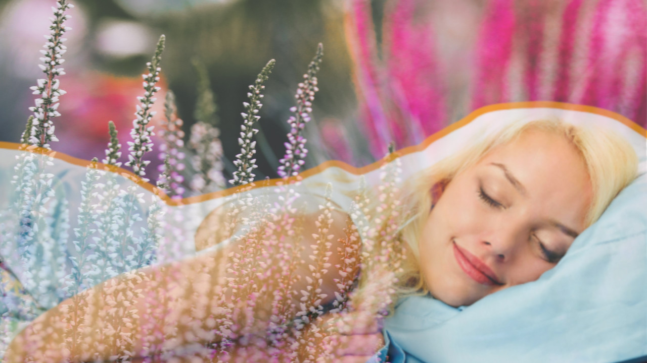 Poboljšavaju kvalitet sna Ove 3 biljke je poželjno imati u sobi