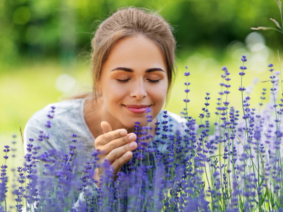 Zbog ovoga će cvetati kao luda: Sjajan trik za rast lavande