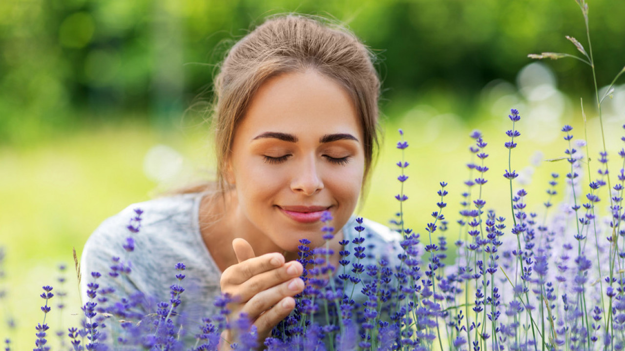 Zbog ovoga će cvetati kao luda: Sjajan trik za rast lavande
