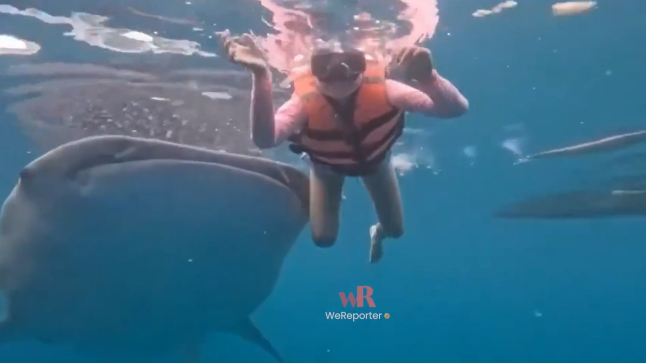 Htela da napravi selfi, a doživela susret sa najvećom ribom