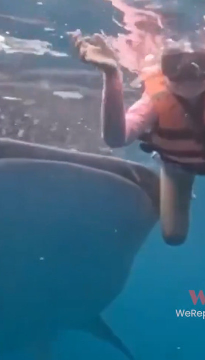 Хтела да направи селфи, а доживела сусрет са највећом рибом