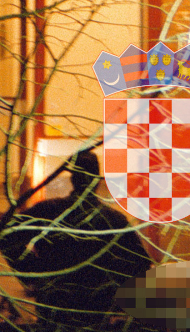 Trojica s oružjem upali u kuću,dečak ih oterao-počeo da bije