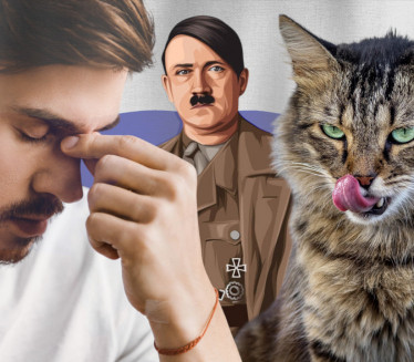 Kotolf Kitler: Rus osuđen zbog slike mačke nalik Hitleru