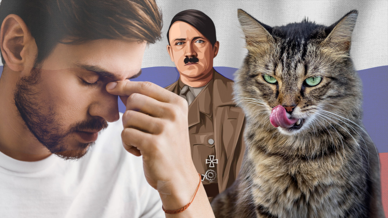 Kotolf Kitler: Rus osuđen zbog slike mačke nalik Hitleru