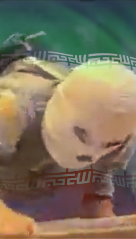 Напад маскираних: Иранци објавили снимак заплене брода