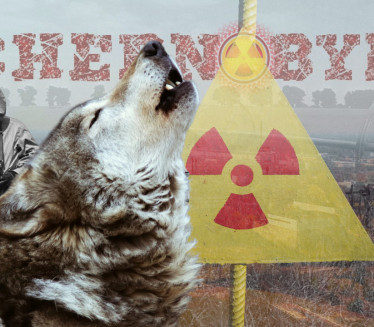 Радиоактивни рајски врт створио чернобиљске супервукове