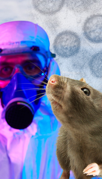 Smrtonosan virus na kruzeru:Za njega nema leka, samo terapije