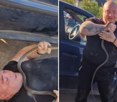 Zmija se uvukla u auto: Drama u Surdulici na Đurđevdan