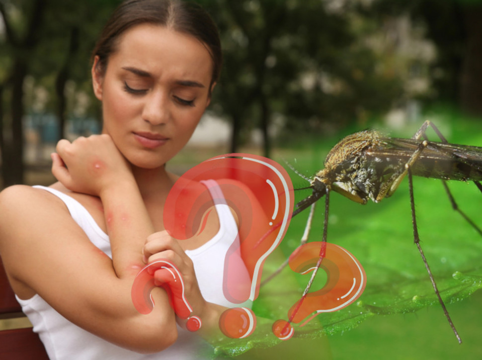 Zašto komarci ujedaju neke ljude, a druge zaobilaze?