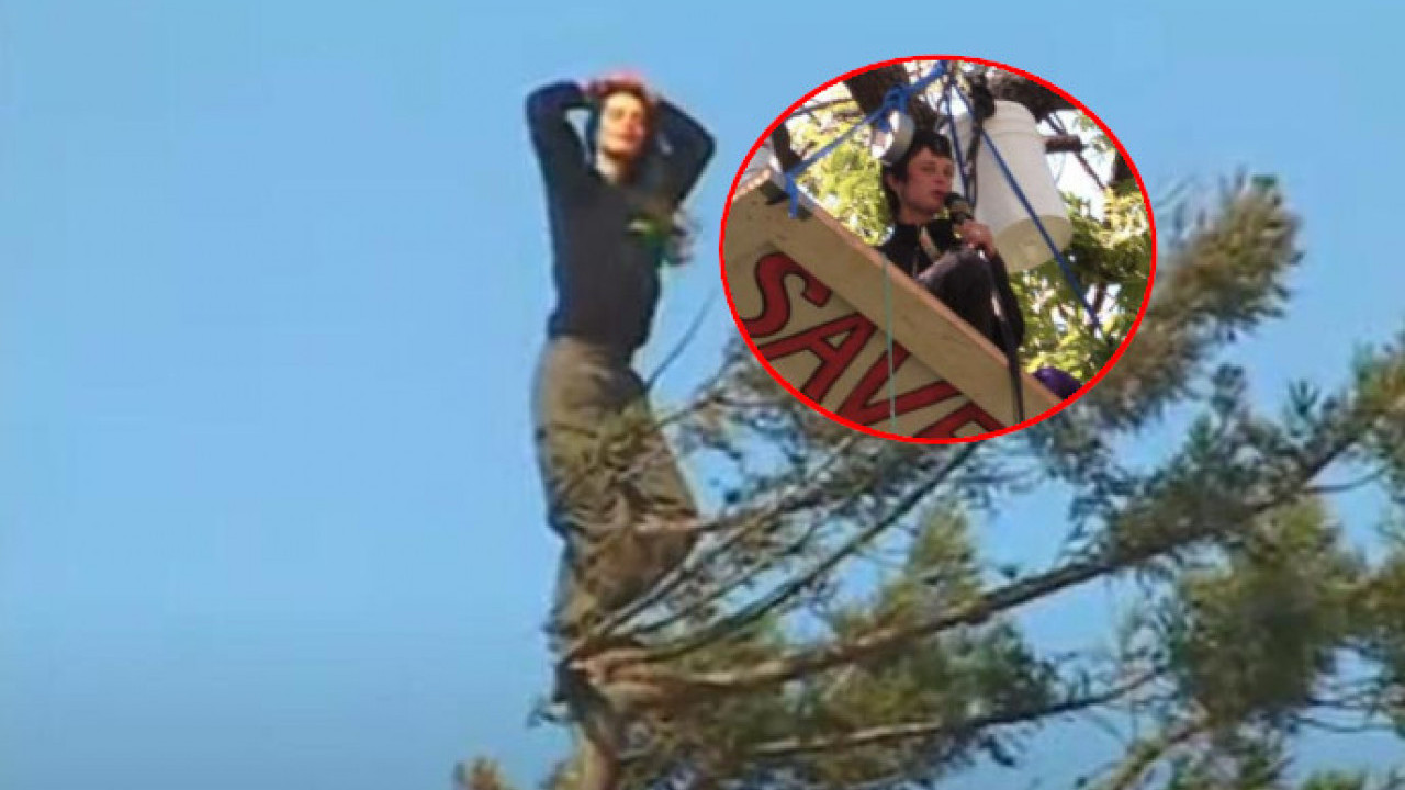 Popela se na drvo i tu ostala 2 GODINE - razlog je bio moćan