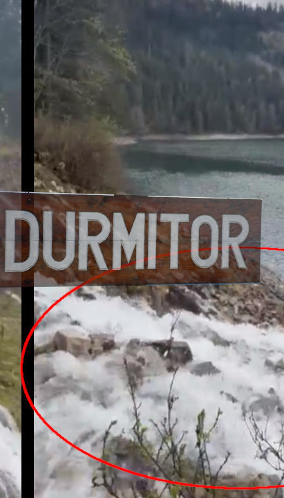 Pukle čeline: Šta se to dešava na Durmitoru?