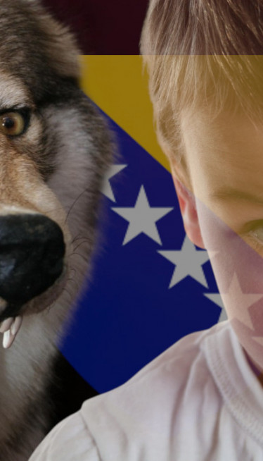 Misterija divljeg deteta iz Bosne koje je odraslo u šumi