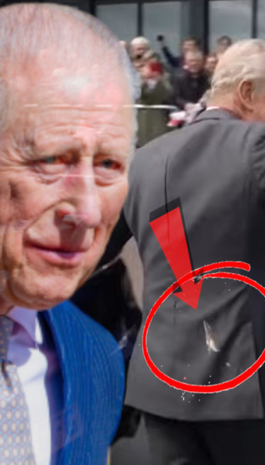 Galeb "ukrasio" kralja: NJegova reakcija nasmejala sve