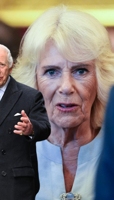 Strogo zabranjena! Ova Kamilina loša navika smetala Čarlsu