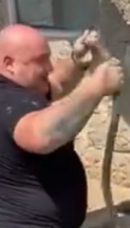 "Majko moja, jao!" Čuvenog zmijolovca ujela zmija