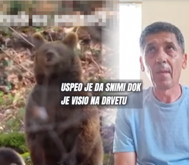 Pecaroš iz Srbije sat vremena bio na drvetu,bežao od medveda