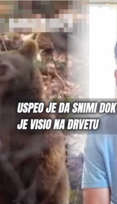 Pecaroš iz Srbije sat vremena bio na drvetu,bežao od medveda