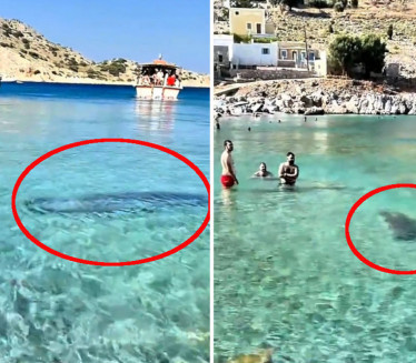 Panika na plaži u Grčkoj: Velika morska životinja u plićaku