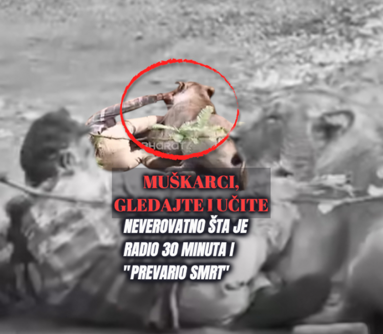 (Uznemirujuće) Napad lavice: Šta je radio 30min da preživi