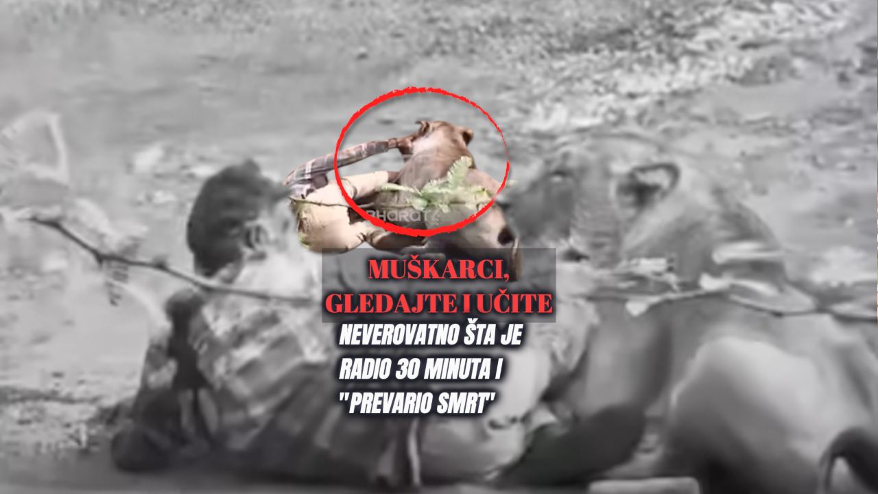 (Uznemirujuće) Napad lavice: Šta je radio 30min da preživi
