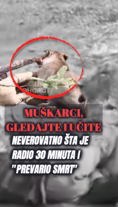 (Uznemirujuće) Napad lavice: Šta je radio 30min da preživi