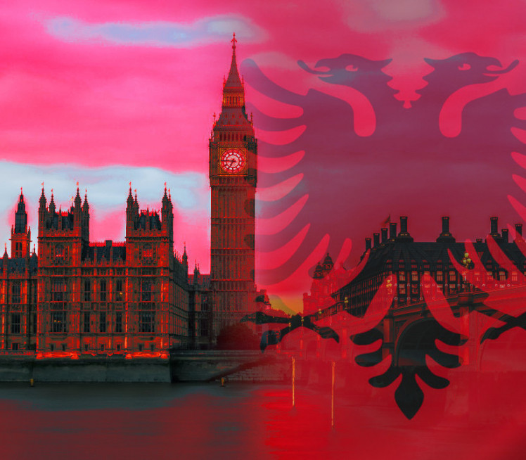 Албанац прави хаоос у ВБ: Храни псе парама,неће депортацију
