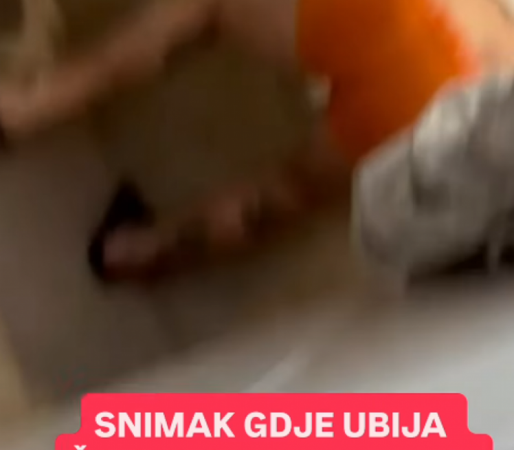 "OVO ZAHTEVA HITNU ISTRAGU": Drama posle snimka navodnog Kristijanovog ubistva u kadi
