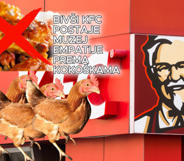 Бивши КФЦ постаје музеј емпатије према кокошкама