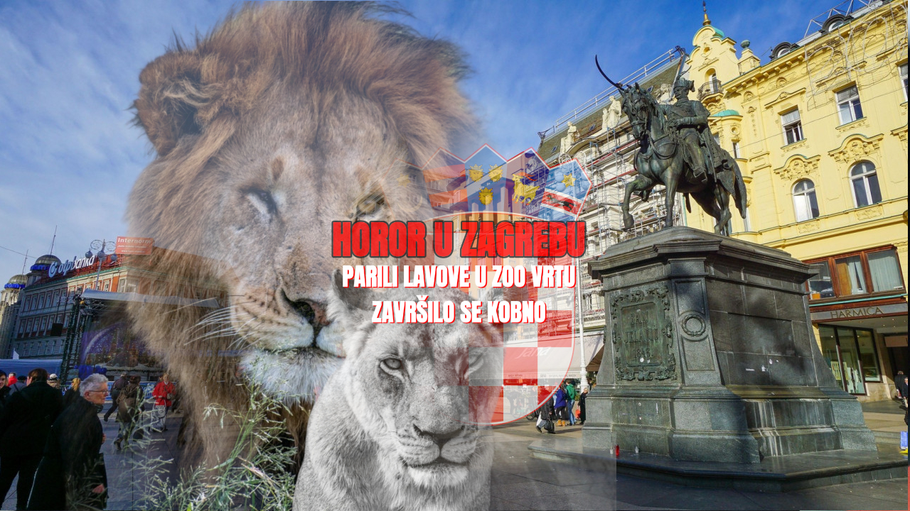 Užas u ZOO vrtu: Hrvati parili lavove - završilo se kobno