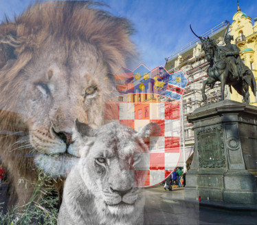 Objavljen snimak: Lav ubio lavicu u Zagrebu kad su ih parili