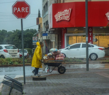 Stravično nevreme: Drvo usmrtilo čoveka na licu mesta
