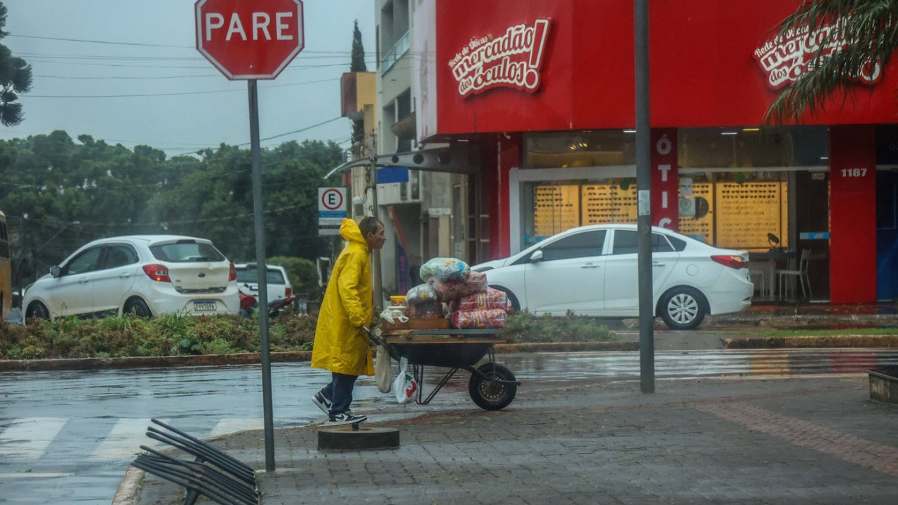Stravično nevreme: Drvo usmrtilo čoveka na licu mesta