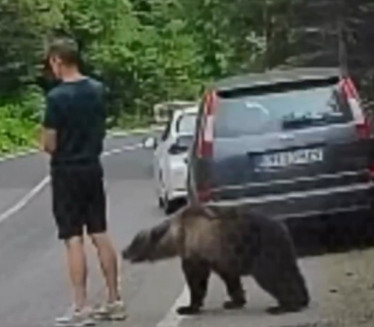 Drama u komšiluku: Medved ga njuši,on nepomično stoji (VIDEO)