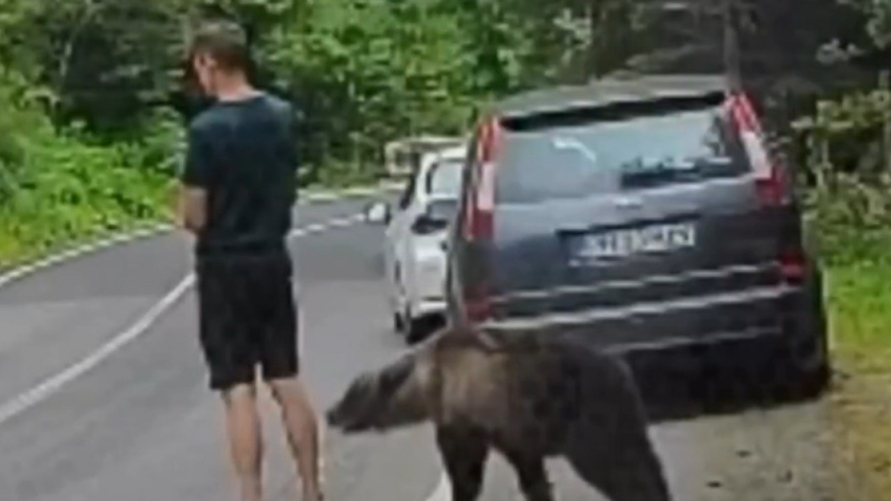 Drama u komšiluku: Medved ga njuši,on nepomično stoji (VIDEO)