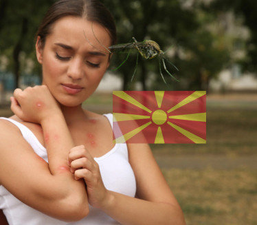 Komarci šire opasan virus u regionu: Troje u kritičnom stanju