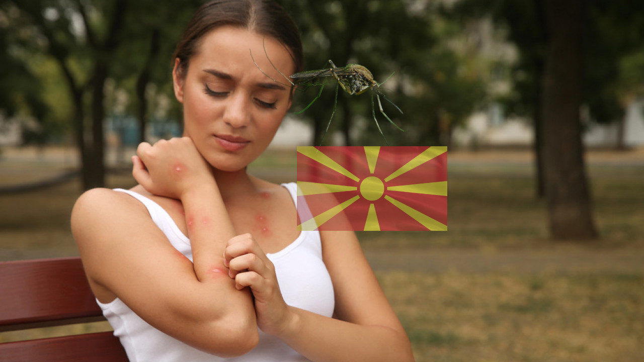 Komarci šire opasan virus u regionu: Troje u kritičnom stanju