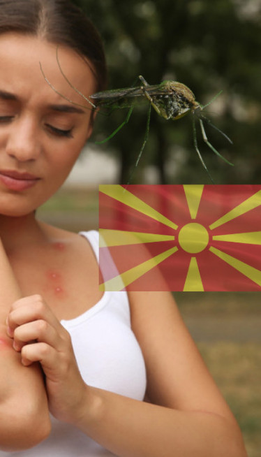 Komarci šire opasan virus u regionu: Troje u kritičnom stanju