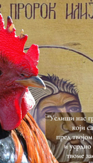 Зашто се на Светог Илију спрема и једе баш печени петао?