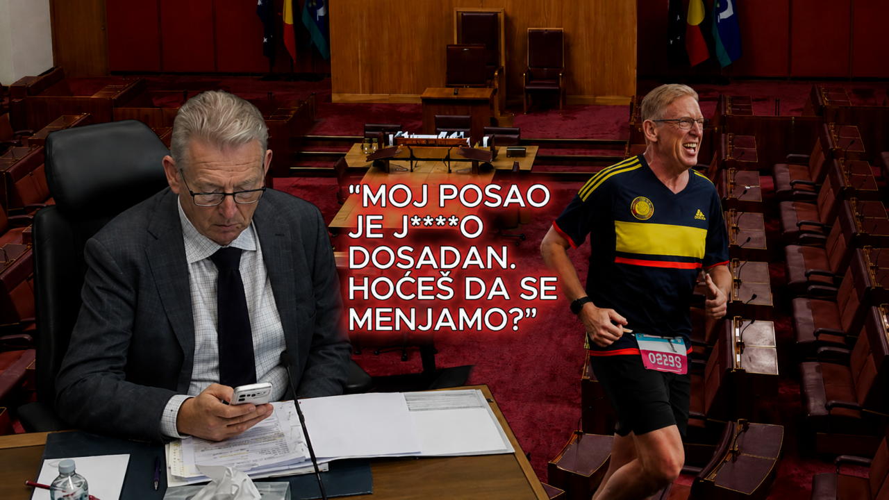 "Dosadno mi je" Opozicionar na sednici pisao prostitutki