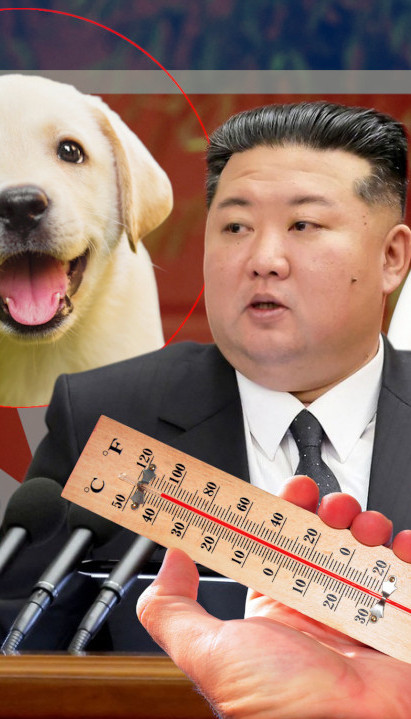 S.Koreja savetuje supu od psećeg mesa kao lek protiv vrućine
