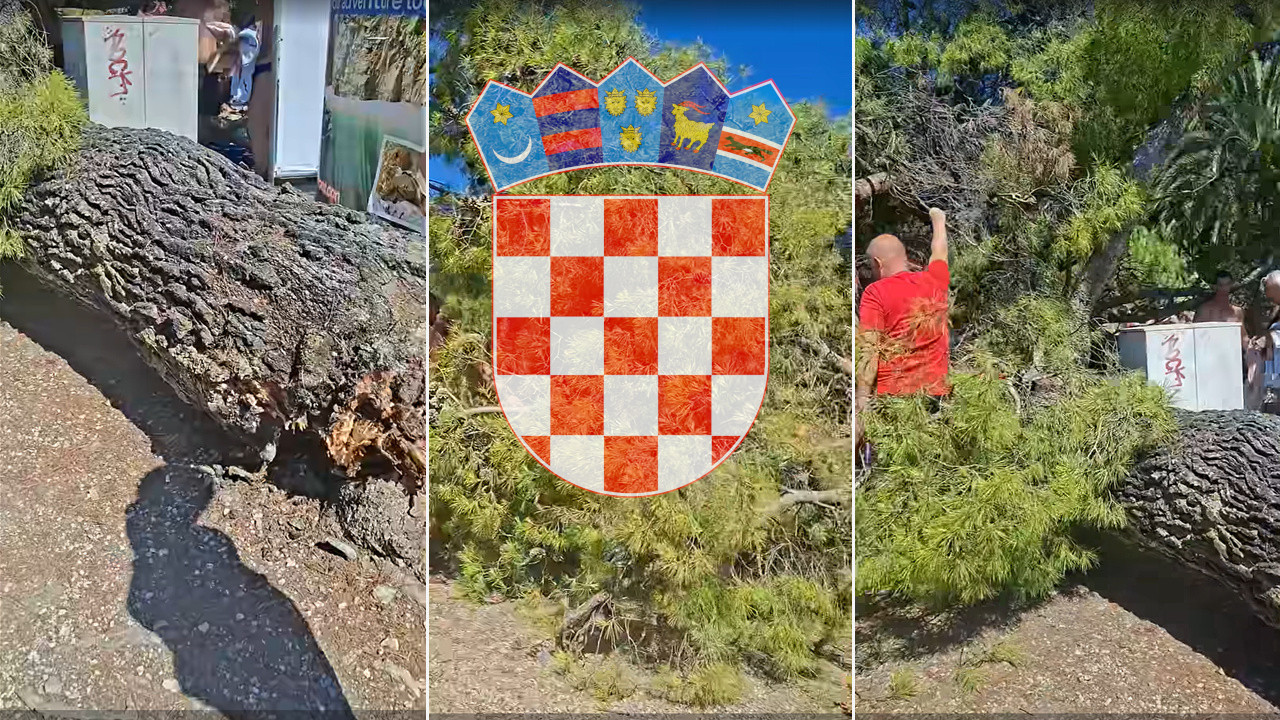 Ogroman bor pao na turiste u Hrvatskoj, povređena i deca