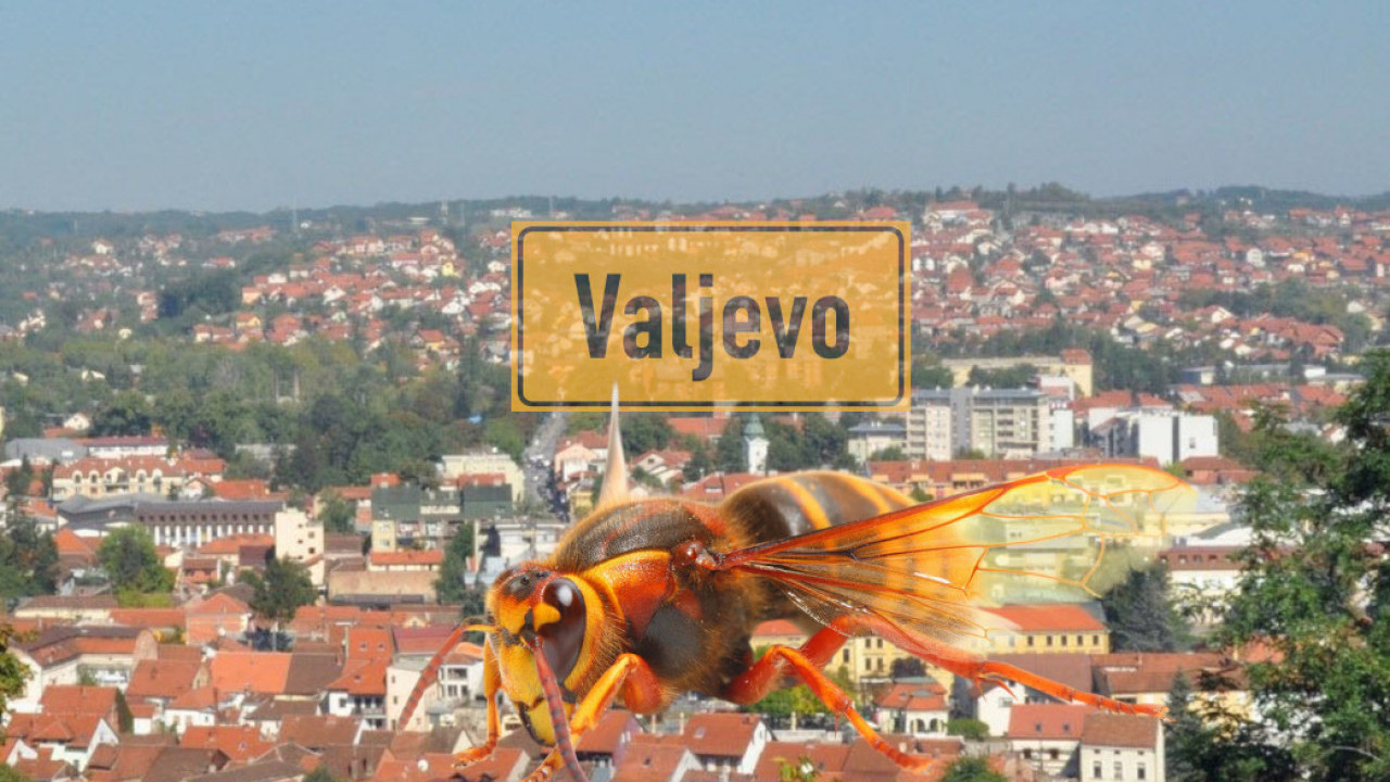 3 DANA U KOMI Čistio dimnjak kod Valjeva, ujeli ga stršljeni