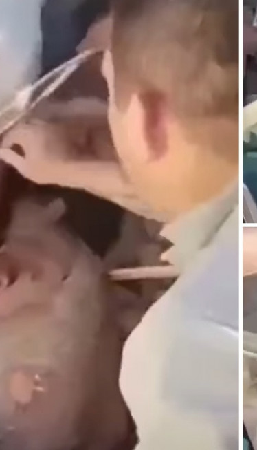 ČUDO U RUŠEVINAMA: Beba i žena izvučene žive (VIDEO)